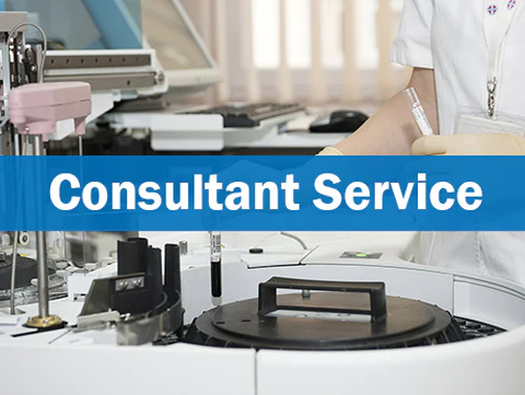 Consultant Service